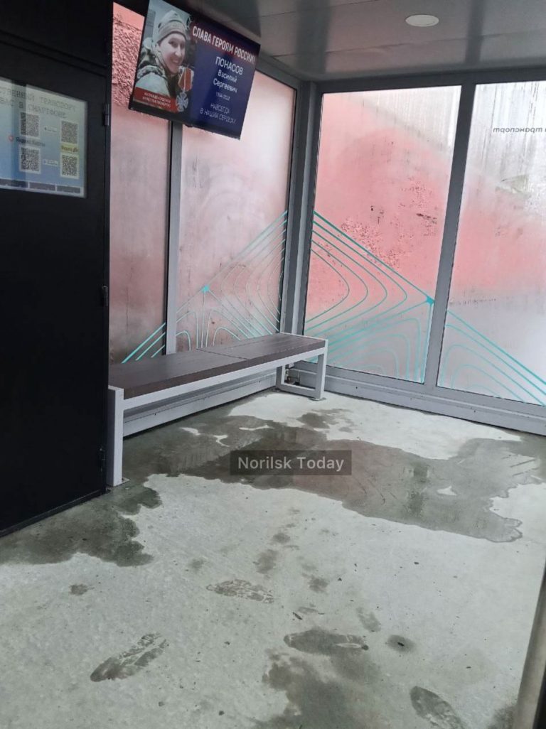media