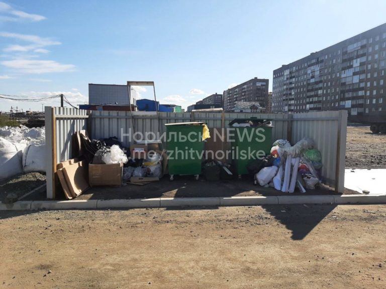 media